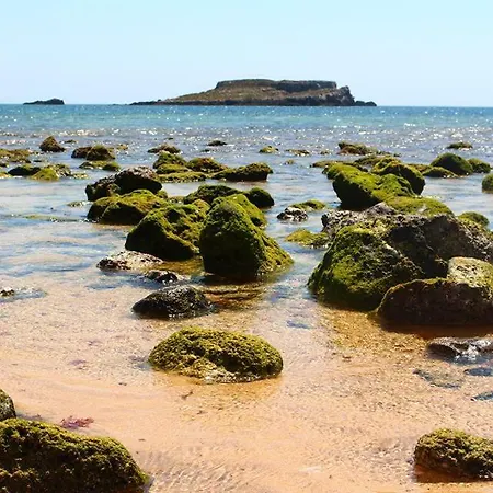 Homestay szállás Oceanus With Private Kitchen, Bathroom And Terrace 300m From The